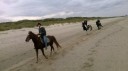 6-10-2014-paardrijden-aan-de-kust_281329.jpg