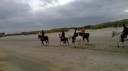 6-10-2014-paardrijden-aan-de-kust_281529.jpg