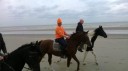 6-10-2014-paardrijden-aan-de-kust_281729.jpg
