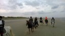 6-10-2014-paardrijden-aan-de-kust_281829.jpg