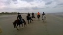 6-10-2014-paardrijden-aan-de-kust_281929.jpg