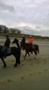 6-10-2014-paardrijden-aan-de-kust_28229.jpg